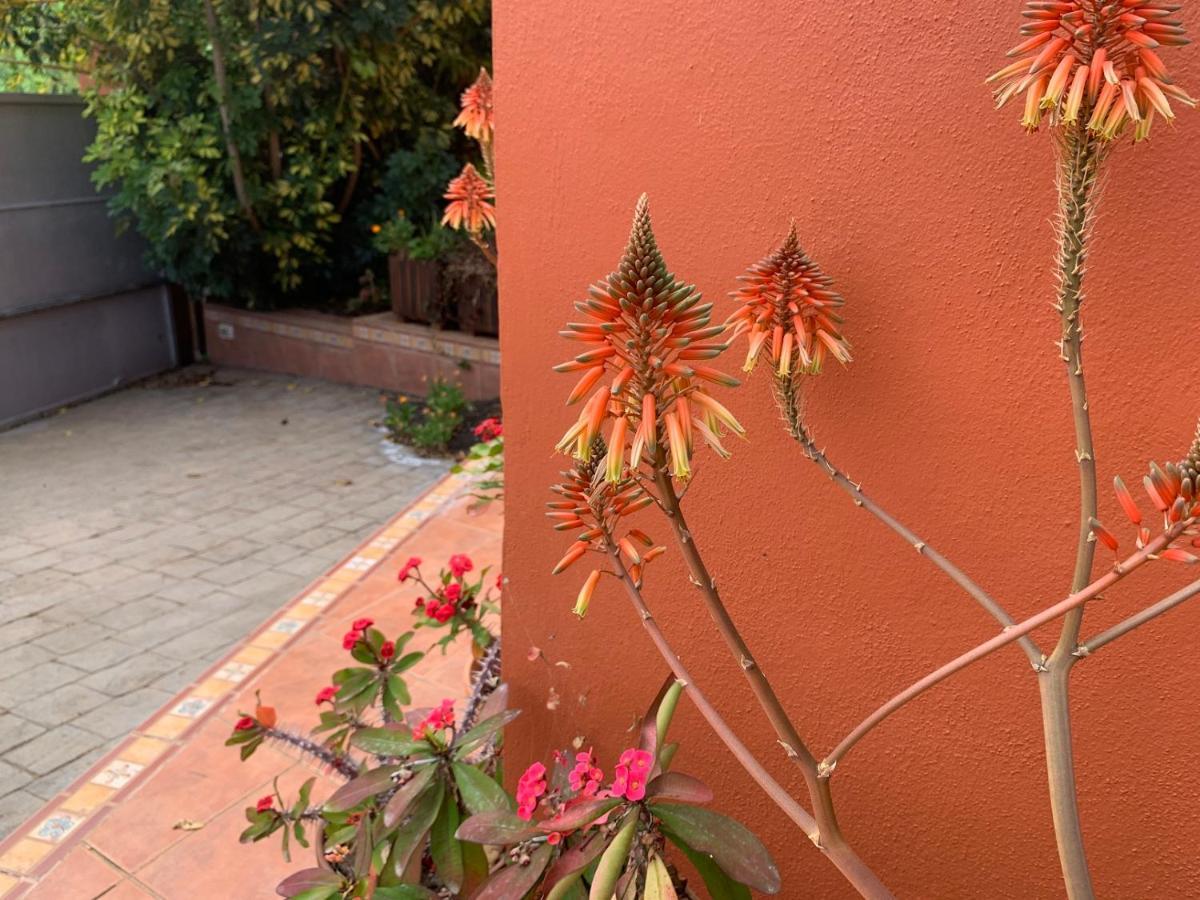La Casita De Descanso - Das Haeuschen Der Ruhe - La Luz - La Orotava Exterior photo